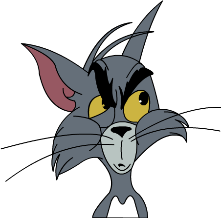 Schrödinger's cat — confused expression representing quantum uncertainty